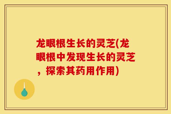 龍眼根生長的靈芝(龍眼根中發現生長的靈芝，探索其藥用作用)