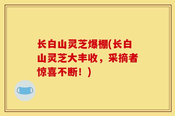 長白山靈芝爆棚(長白山靈芝大豐收，采摘者驚喜不斷！)