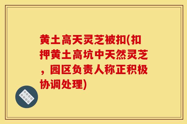 黃土高天靈芝被扣(扣押黃土高坑中天然靈芝，園區負責人稱正積極協調處理)