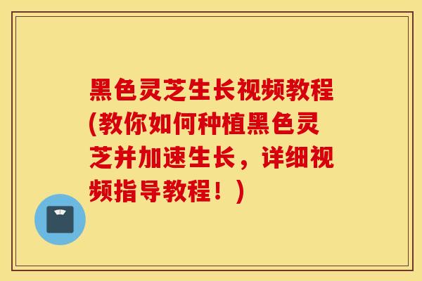 黑色靈芝生長視頻教程(教你如何種植黑色靈芝并加速生長，詳細視頻指導教程！)