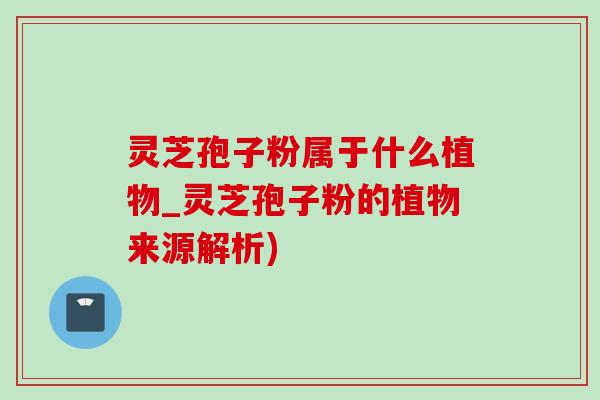 靈芝孢子粉屬于什么植物_靈芝孢子粉的植物來源解析)