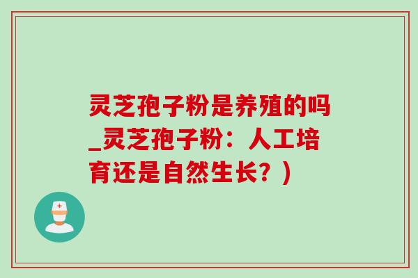 靈芝孢子粉是養殖的嗎_靈芝孢子粉：人工培育還是自然生長？)