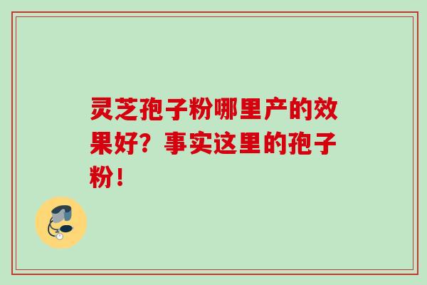 靈芝孢子粉哪里產的效果好？事實這里的孢子粉！