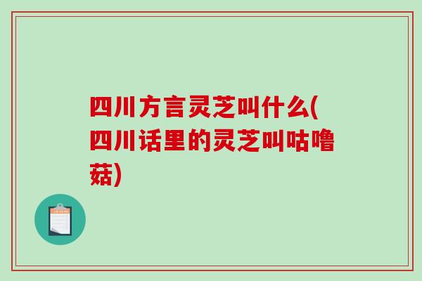 四川方言靈芝叫什么(四川話里的靈芝叫咕嚕菇)