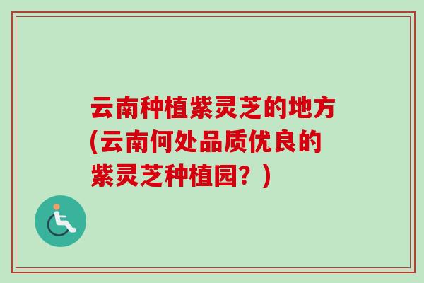 云南種植紫靈芝的地方(云南何處品質優良的紫靈芝種植園？)