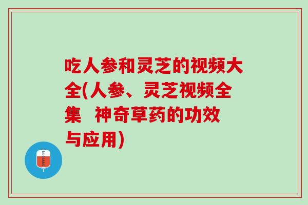 吃人參和靈芝的視頻大全(人參、靈芝視頻全集  神奇草藥的功效與應用)