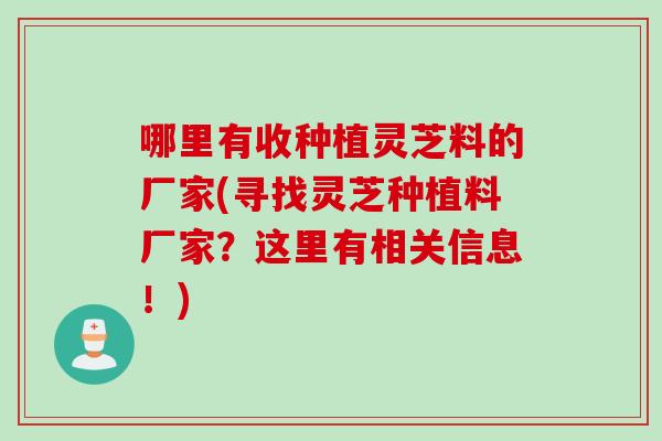 哪里有收種植靈芝料的廠家(尋找靈芝種植料廠家？這里有相關信息！)