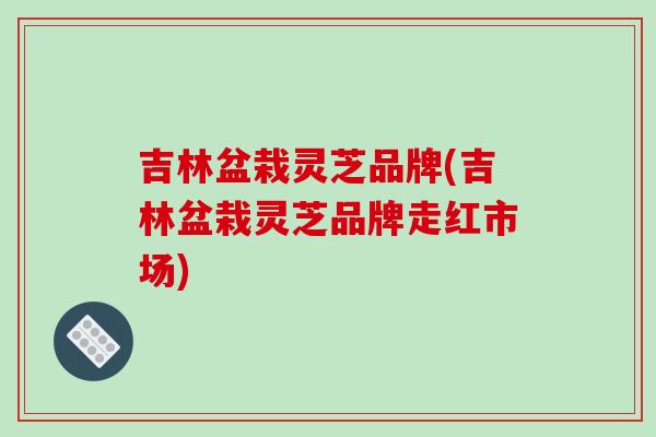 吉林盆栽靈芝品牌(吉林盆栽靈芝品牌走紅市場)