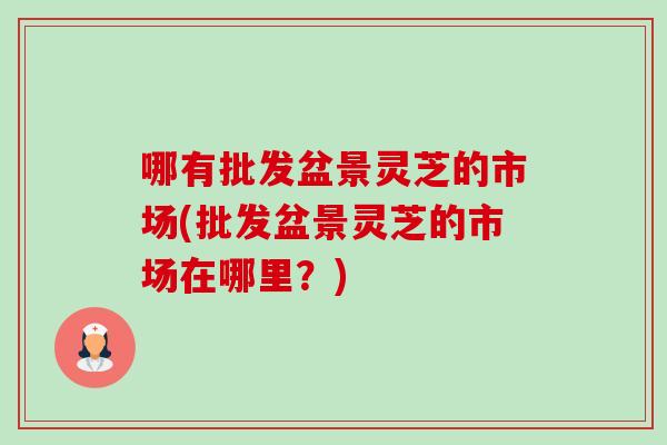 哪有批發盆景靈芝的市場(批發盆景靈芝的市場在哪里？)