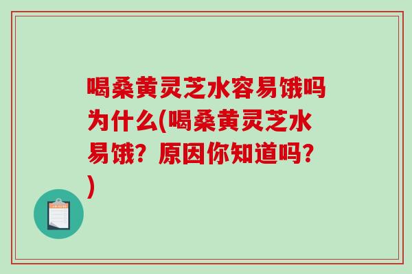 喝桑黃靈芝水容易餓嗎為什么(喝桑黃靈芝水易餓？原因你知道嗎？)