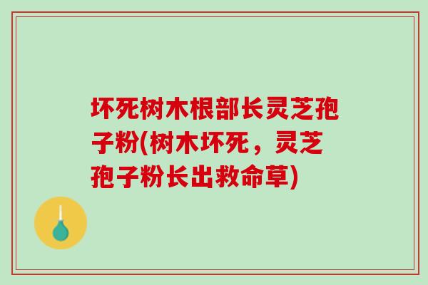 壞死樹木根部長靈芝孢子粉(樹木壞死，靈芝孢子粉長出救命草)