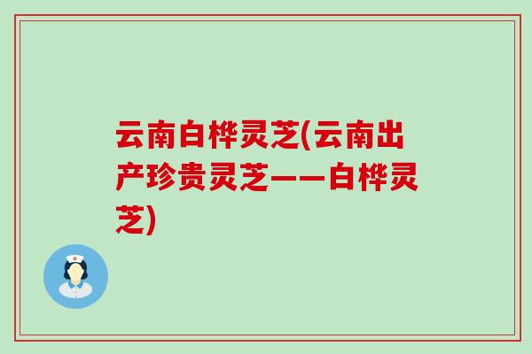 云南白樺靈芝(云南出產珍貴靈芝——白樺靈芝)