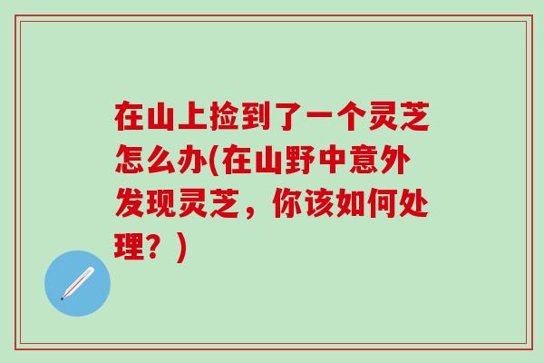 在山上撿到了一個靈芝怎么辦(在山野中意外發現靈芝，你該如何處理？)