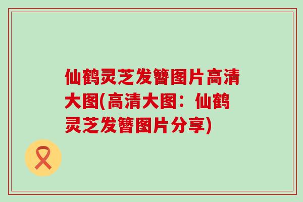 仙鶴靈芝發簪圖片高清大圖(高清大圖：仙鶴靈芝發簪圖片分享)