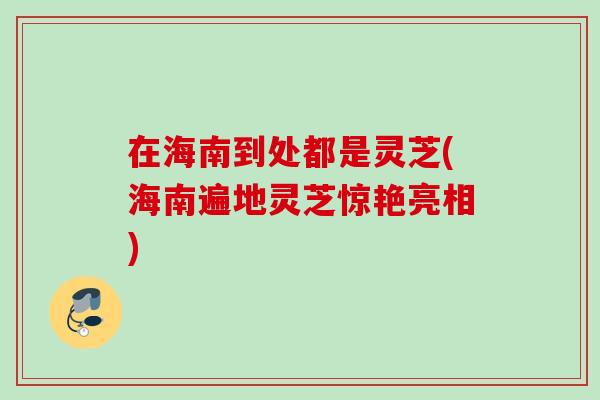 在海南到處都是靈芝(海南遍地靈芝驚艷亮相)