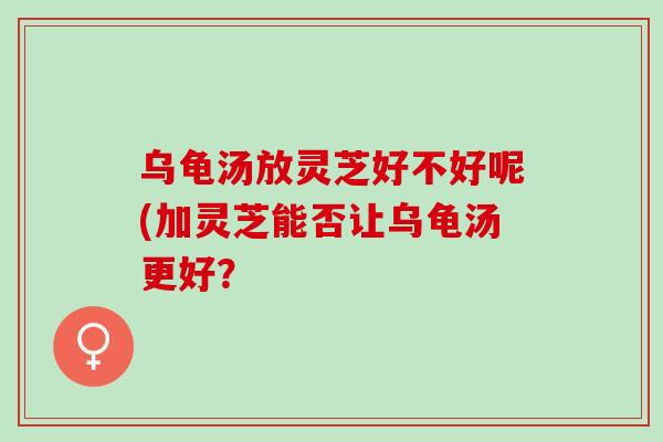 烏龜湯放靈芝好不好呢(加靈芝能否讓烏龜湯更好？