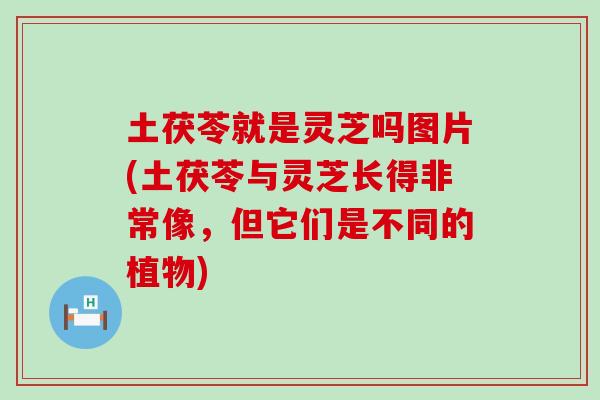 土茯苓就是靈芝嗎圖片(土茯苓與靈芝長得非常像，但它們是不同的植物)