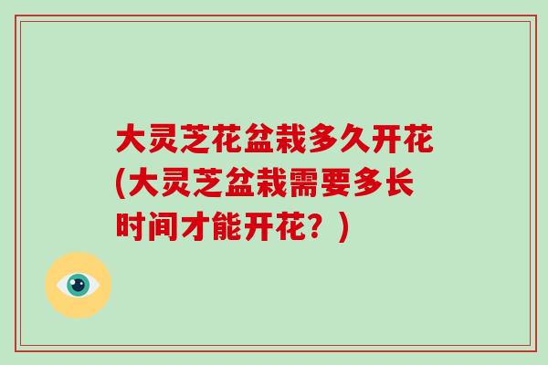 大靈芝花盆栽多久開花(大靈芝盆栽需要多長時間才能開花？)