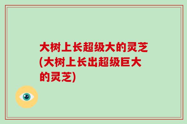 大樹上長超級大的靈芝(大樹上長出超級巨大的靈芝)