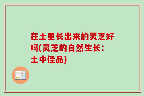 在土里長出來的靈芝好嗎(靈芝的自然生長：土中佳品)