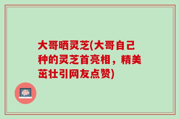 大哥曬靈芝(大哥自己種的靈芝首亮相，精美茁壯引網友點贊)