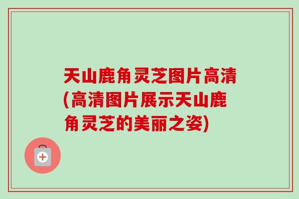 天山鹿角靈芝圖片高清(高清圖片展示天山鹿角靈芝的美麗之姿)