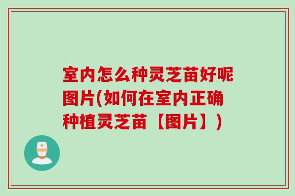 室內怎么種靈芝苗好呢圖片(如何在室內正確種植靈芝苗【圖片】)