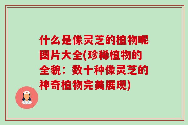 什么是像靈芝的植物呢圖片大全(珍稀植物的全貌：數十種像靈芝的神奇植物完美展現)