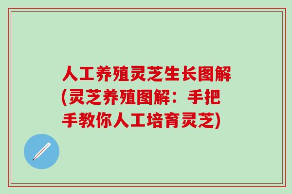 人工養殖靈芝生長圖解(靈芝養殖圖解：手把手教你人工培育靈芝)