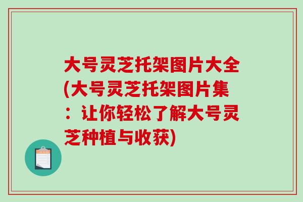 大號靈芝托架圖片大全(大號靈芝托架圖片集：讓你輕松了解大號靈芝種植與收獲)