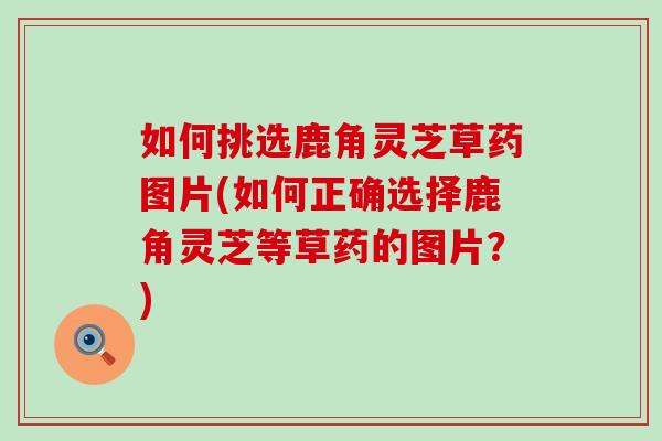 如何挑選鹿角靈芝草藥圖片(如何正確選擇鹿角靈芝等草藥的圖片？)