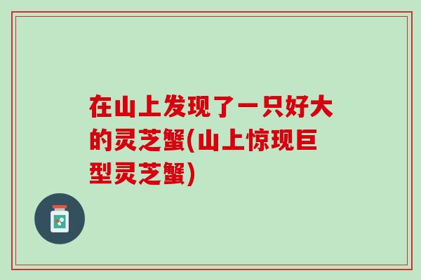 在山上發現了一只好大的靈芝蟹(山上驚現巨型靈芝蟹)