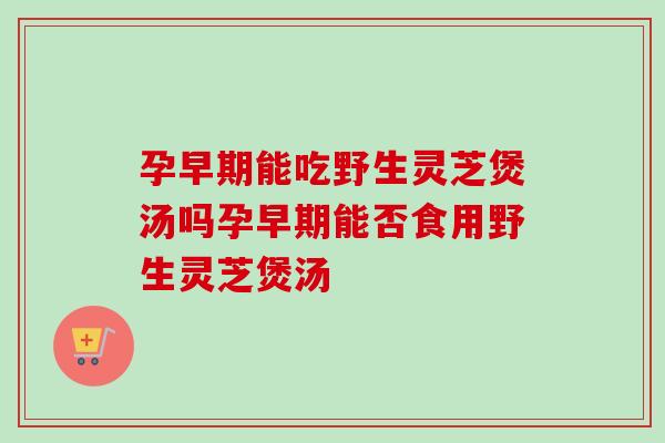 孕早期能吃野生靈芝煲湯嗎孕早期能否食用野生靈芝煲湯