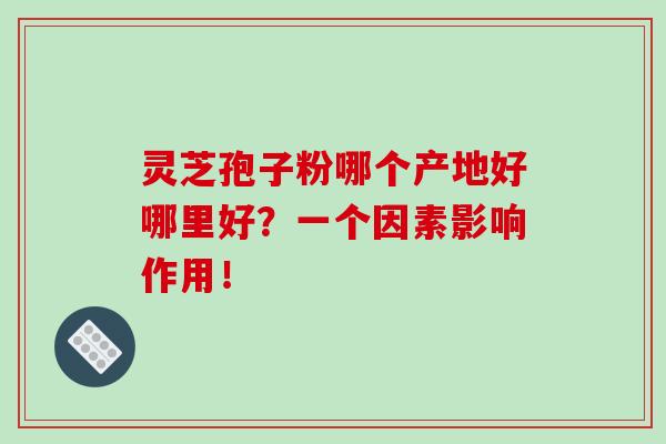 靈芝孢子粉哪個產地好哪里好？一個因素影響作用！