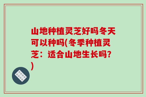 山地種植靈芝好嗎冬天可以種嗎(冬季種植靈芝：適合山地生長嗎？)