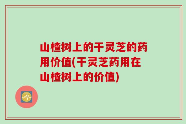 山楂樹上的干靈芝的藥用價值(干靈芝藥用在山楂樹上的價值)