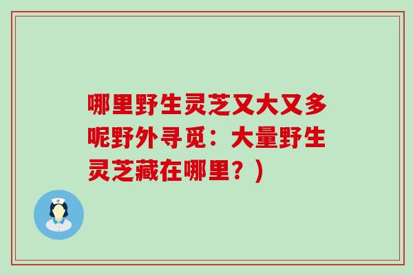 哪里野生靈芝又大又多呢野外尋覓：大量野生靈芝藏在哪里？)