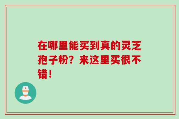 在哪里能買到真的靈芝孢子粉？來這里買很不錯！