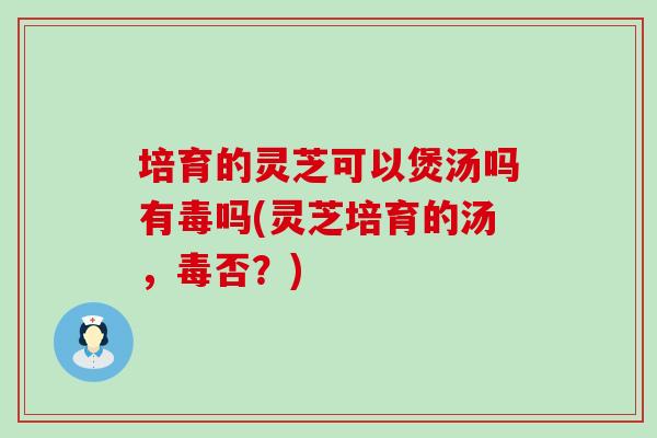 培育的靈芝可以煲湯嗎有毒嗎(靈芝培育的湯，毒否？)