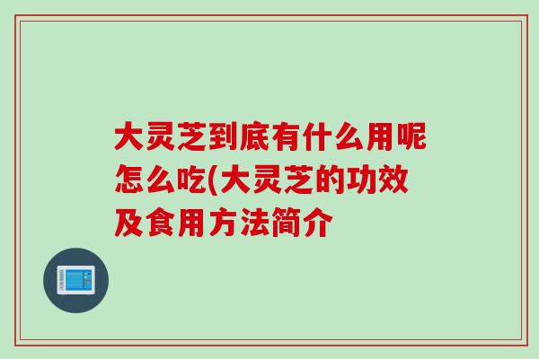 大靈芝到底有什么用呢怎么吃(大靈芝的功效及食用方法簡介