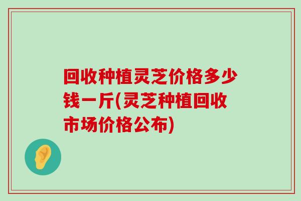 回收種植靈芝價格多少錢一斤(靈芝種植回收市場價格公布)