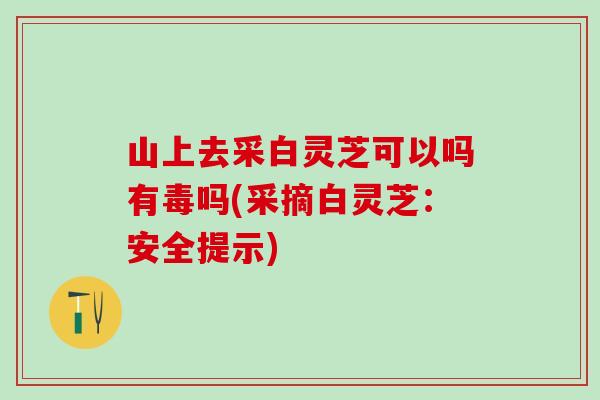 山上去采白靈芝可以嗎有毒嗎(采摘白靈芝：安全提示)