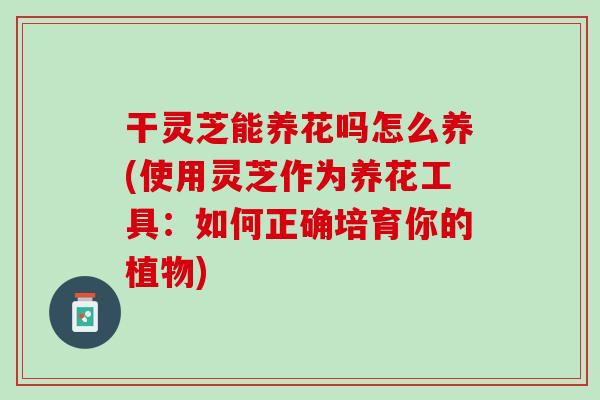 干靈芝能養花嗎怎么養(使用靈芝作為養花工具：如何正確培育你的植物)