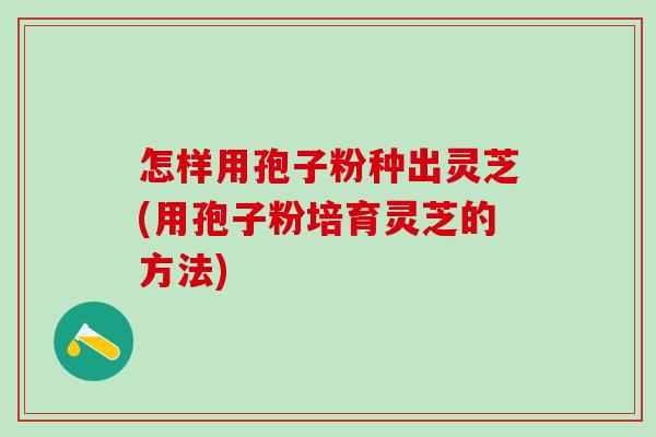 怎樣用孢子粉種出靈芝(用孢子粉培育靈芝的方法)