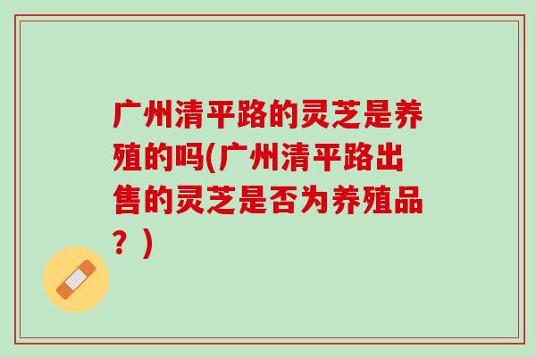 廣州清平路的靈芝是養殖的嗎(廣州清平路出售的靈芝是否為養殖品？)