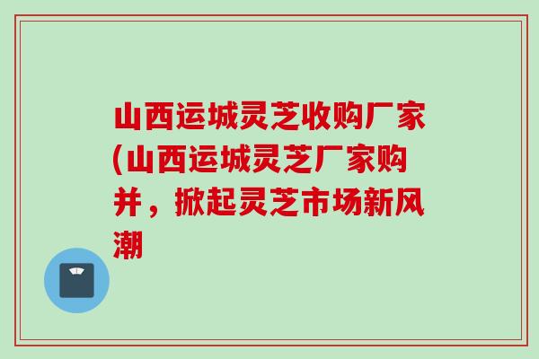 山西運城靈芝收購廠家(山西運城靈芝廠家購并，掀起靈芝市場新風潮