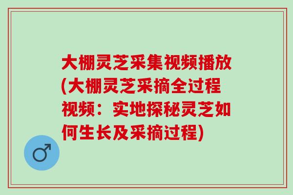 大棚靈芝采集視頻播放(大棚靈芝采摘全過程視頻：實地探秘靈芝如何生長及采摘過程)