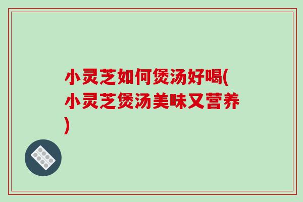 小靈芝如何煲湯好喝(小靈芝煲湯美味又營養)