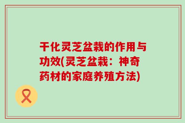 干化靈芝盆栽的作用與功效(靈芝盆栽：神奇藥材的家庭養殖方法)