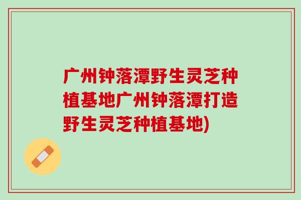 廣州鐘落潭野生靈芝種植基地廣州鐘落潭打造野生靈芝種植基地)